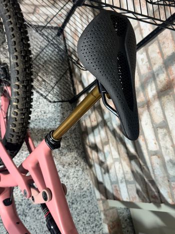 Used Ari Delano Peak  2025 2025 Mountainbike, Black — image 12 of 18