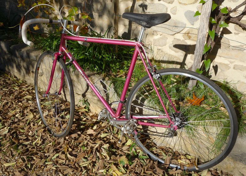 Used Mercier Columbus 1982 Road & Gravel, Red — image 18 of 21