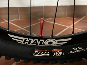 Thumbnail 11