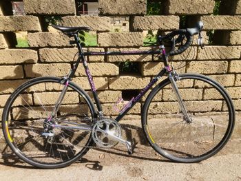 Colnago, Colnago Master Piú