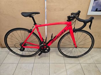 Used Specialized Men's Tarmac Sport 2018 2018 Road & Gravel, Red — image 2 of 5