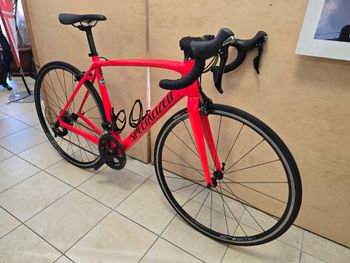 Used Specialized Men's Tarmac Sport 2018 2018 Road & Gravel, Red — image 5 of 5