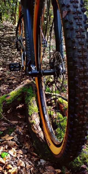 Used KTM ULTRA 1964 PRO 29 2023 2023 Mountainbike, Black, 29 — image 4 of 5