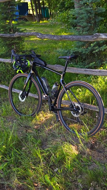 Cannondale, Synapse Carbon 2 RL 2024
