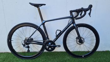 Giant Contend 1 2022 2022