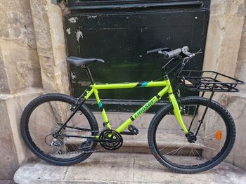 Francesco Moser, Commuter