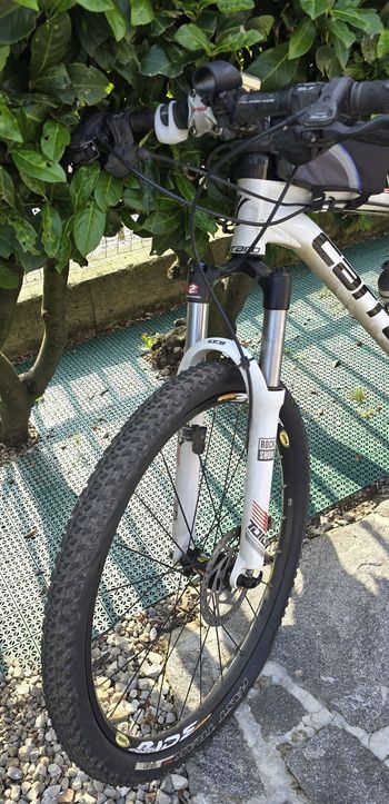 Used Carraro 473 2008 Mountainbike, White, 26 — image 2 of 12