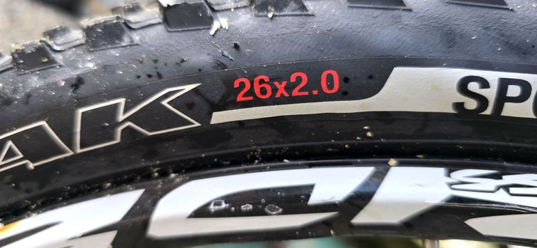 Used Carraro 473 2008 Mountainbike, White, 26 — image 12 of 12