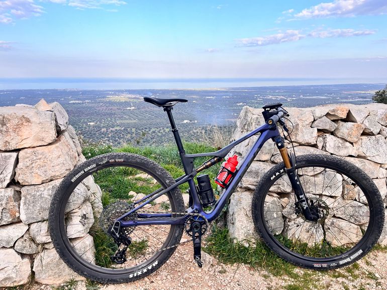 Used Orbea OIZ M-TEAM AXS 2024 Frameset 2024 Mountainbike, Blue, 29 — image 2 of 3