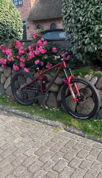 Trek, Remedy SRAM GX Eagle AXS (T-Type)