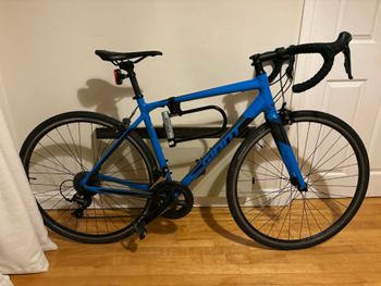 Giant Contend 1 2022 2022