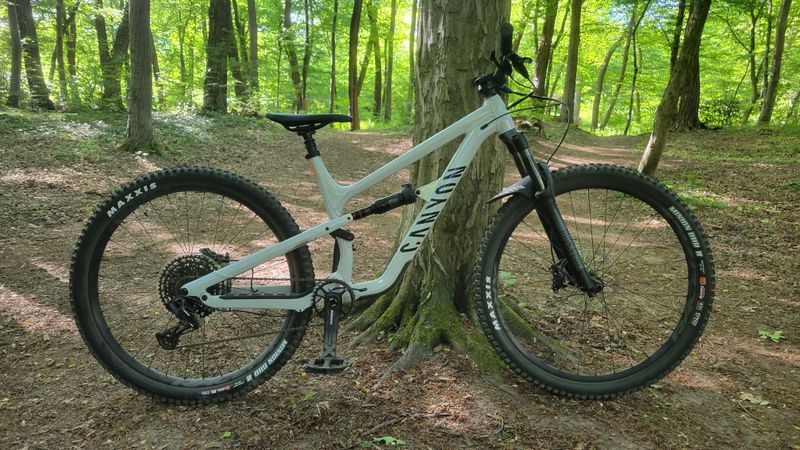 Used Canyon Spectral 5 2024 2024 Mountainbike, Light Gray, 27.5, 29 — image 1 of 10