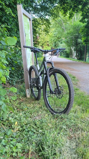 Used Canyon Spectral 5 2024 2024 Mountainbike, Light Gray, 27.5, 29 — image 3 of 10