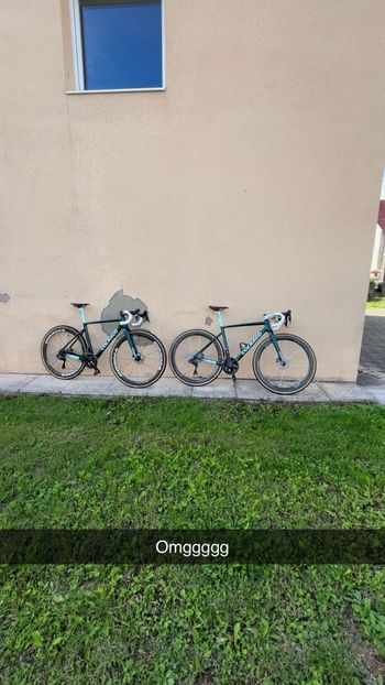 Colnago, G3X