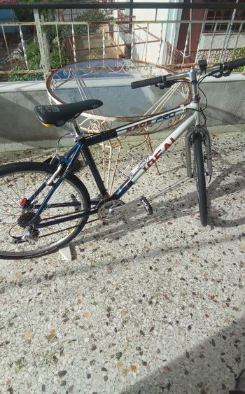 Ideal, Race Pro Custom