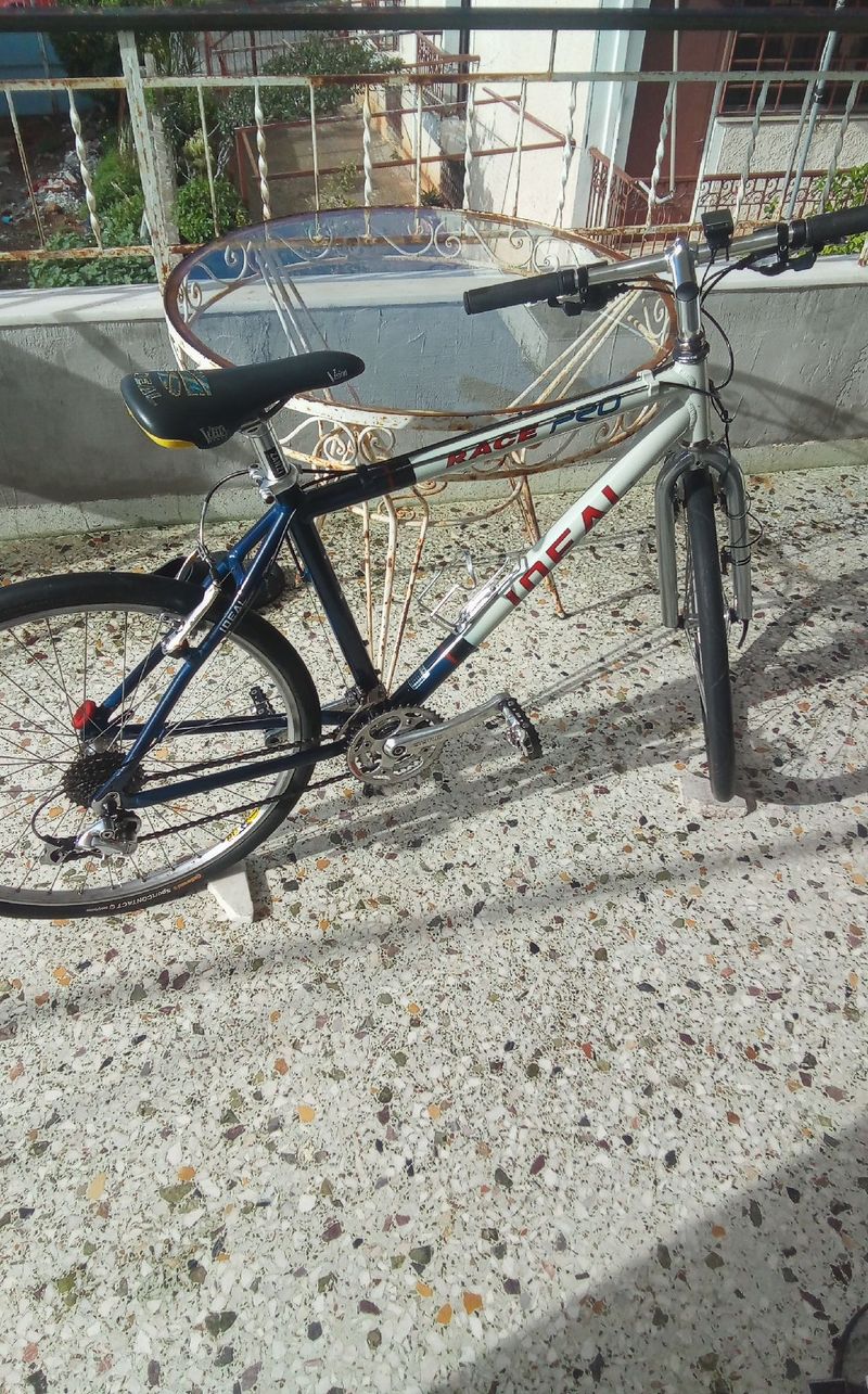 Ideal Race Pro Custom 1997 MTB d'occasion