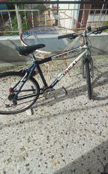 Used Ideal Race Pro Custom 1997 Mountainbike, Light Gray, 26 — image 5 of 14
