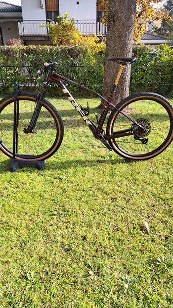 Trek, Procaliber 9.7 AXS Gen 3 2025
