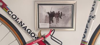 Used Colnago Colnago 1970 Road & Gravel, Red — image 2 of 20