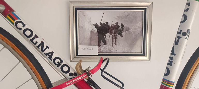 Used Colnago Colnago 1970 Road & Gravel, Red — image 2 of 20