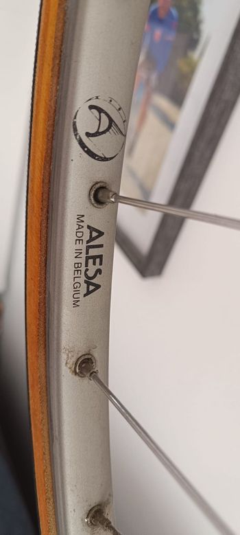 Used Colnago Colnago 1970 Road & Gravel, Red — image 18 of 20