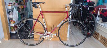Colnago, Colnago