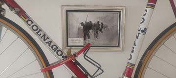 Used Colnago 1970 Road & Gravel, Red — image 2 of 20