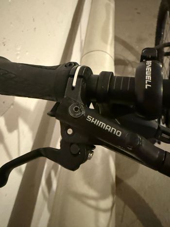 Used BULLS Bulls Sonic Evo 3 2020 2020 Mountainbike, Black — image 21 of 28