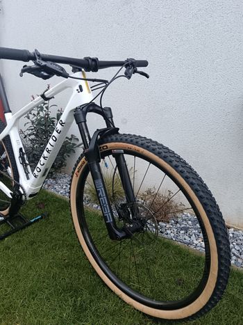 Used ROCKRIDER Race 900 GX Eagle Carbone Reynolds 2024 Mountainbike — image 3 of 7