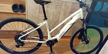 Used Megamo RIDON LOW 630 05 2023 2023 VTT