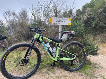 Brugt Santa Cruz Blur Sram Eagle Transmission X0 2024 Mountainbike — billede 2 af 3