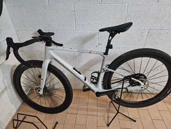 Mondraker, ARID CARBON RR