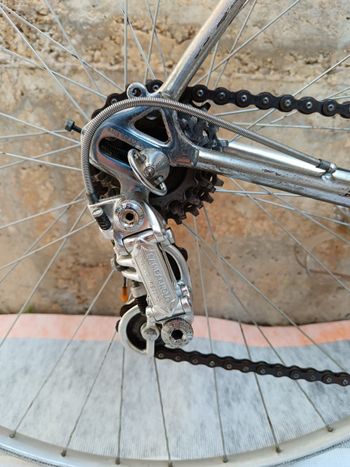 Used Coppi Campagnolo Nuovo Record 1970 Road & Gravel, Hellgrau — image 4 of 8