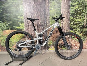 Used Propain Tyee 6 AL 27,5 Small Raw 2025 Mountainbike, Light Gray — image 1 of 10