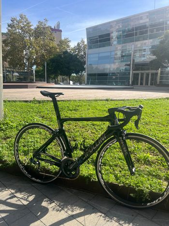 Cipollini, NK1K Daytona Pro 2017