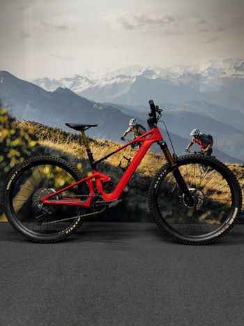 Mondraker, Mondraker Neat RR 29" 2025
