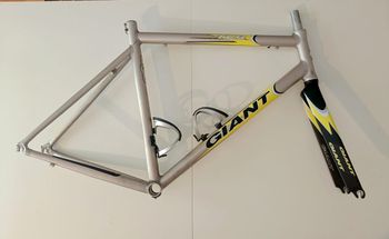 Used Giant TCR ALUXX SL  TEAM ONCE 1999 Frameset 1999 Corsa & gravel