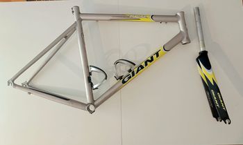Used Giant TCR ALUXX SL  TEAM ONCE 1999 Frameset 1999 Road & Gravel, Grigio chiaro — image 2 of 12