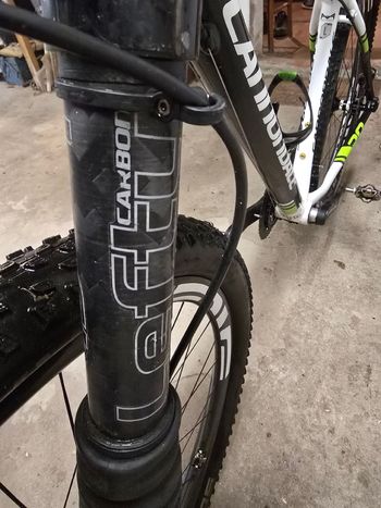 Used Cannondale F 29 Team 2016 Mountainbike, White — image 2 of 6