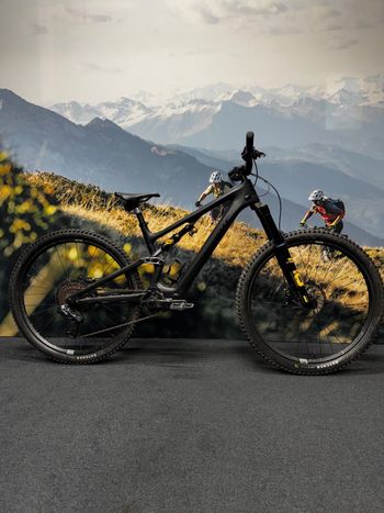 Specialized, S-Works Turbo Levo SL Rahmenset Custom Aufbau 2022