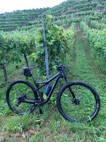 Used Cannondale Scalpel Shimano XTR 2020 Mountainbike, Black — image 2 of 3