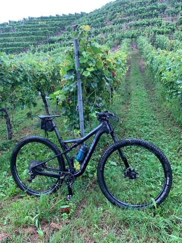 Brugt Cannondale Scalpel Shimano XTR 2020 Mountainbike — billede 2 af 3