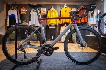 Focus, IZALCO MAX 8.9 2024