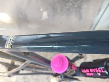 Used Van rysel Road Bike NCR CF Tiagra 2024 2024 Road & Gravel, Light Gray — image 7 of 12