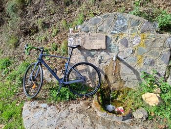 Van rysel, Road Bike NCR CF Tiagra 2024