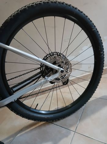Used Trek Procaliber 8 2025 2025 MTB