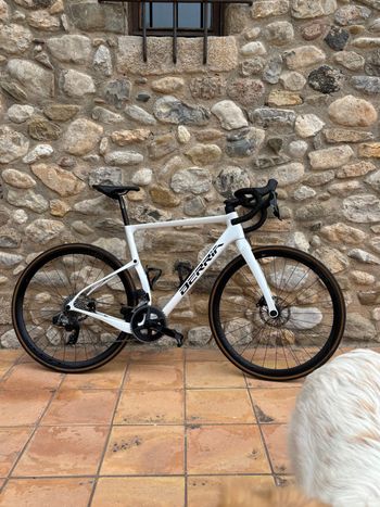 Berria, BELADOR ALLROAD LTD 2022