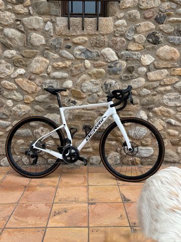 Berria BELADOR ALLROAD LTD 2022 2022 Road & Gravel usato