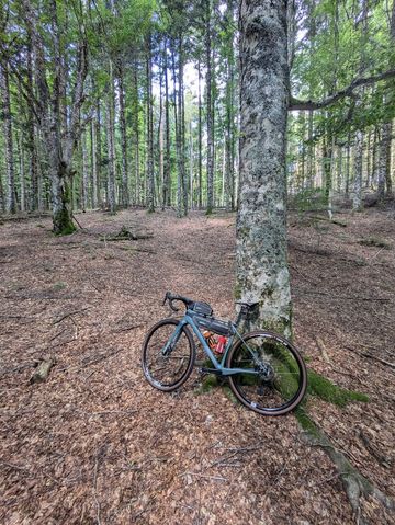 Used Superior X-ROAD Team Comp GR 2022 2022 Road & Gravel