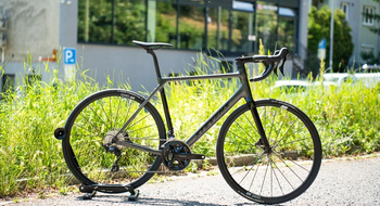 Stevens, Aspin Disc 2024